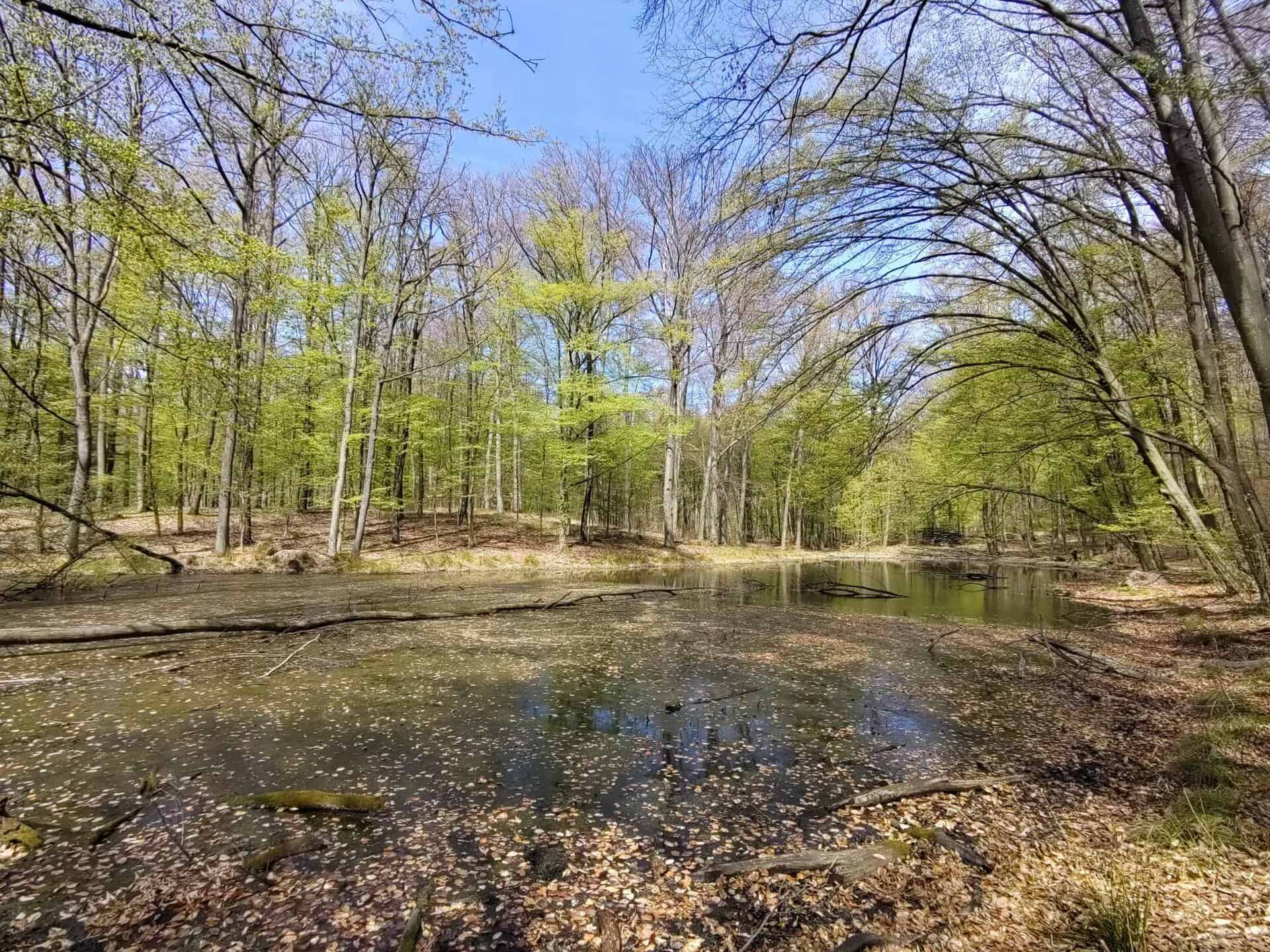 A fenntarthatósági szakember, mint változásvezető