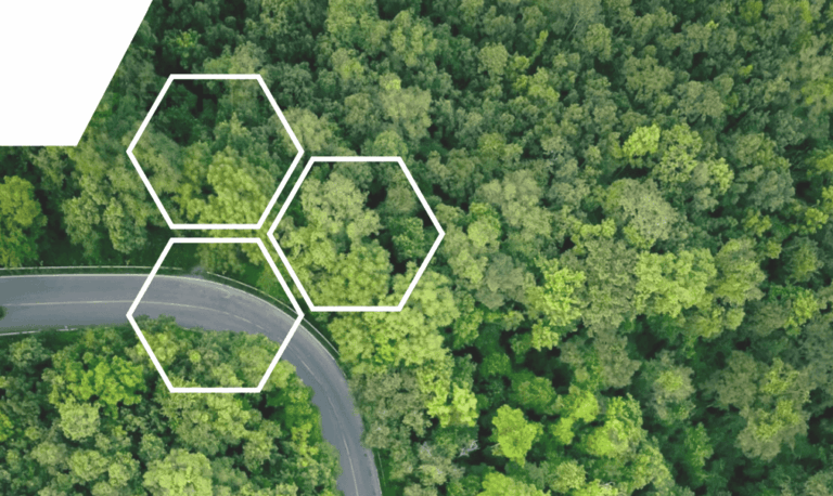 Elemzés az európai fenntarthatósági jelentéstétel új korszakáról – az ESRS első tapasztalatai