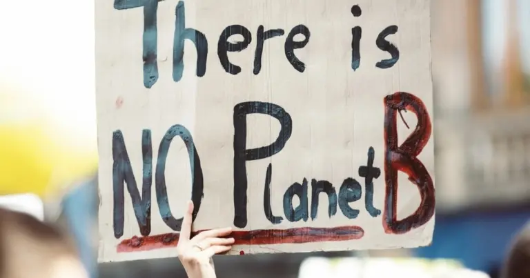 ”Egy befogadóbb és fenntarthatóbb gazdaságot kell építenünk” – A B Lab új vezetői bíznak abban, hogy közösen tovább erősíthetik a környezeti és társadalmi ügyek iránt elkötelezett cégek nemzetközi hálózatát