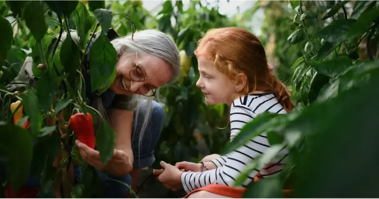 Digitális dokumentumfilm-sorozatot forgat a BBC StoryWorks a B Corp-mozgalomról