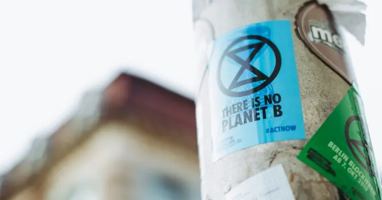 Mi az a B Corp mozgalom? – Vállalatok a fenntartható jövőért